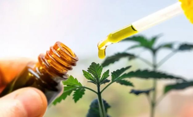 Perfect CBD Oil Solutions For Those Having Anxiety