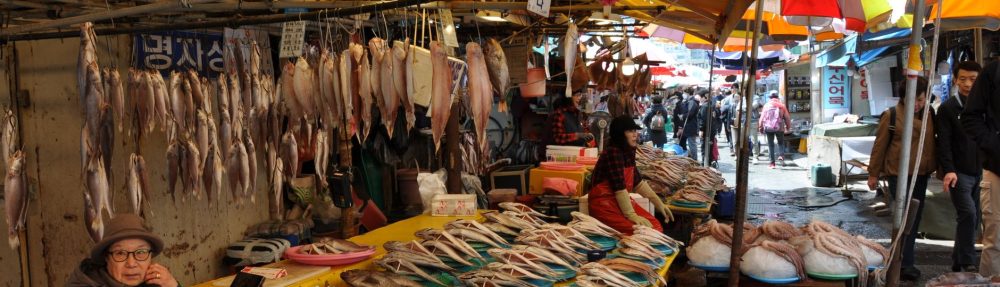South Korea dry eye market
