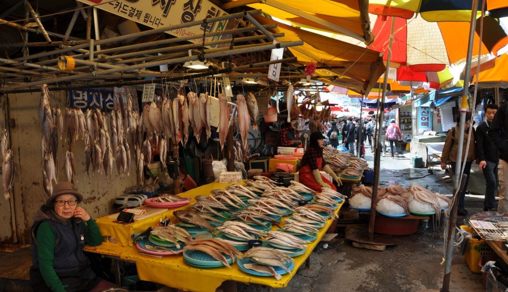 South Korea dry eye market