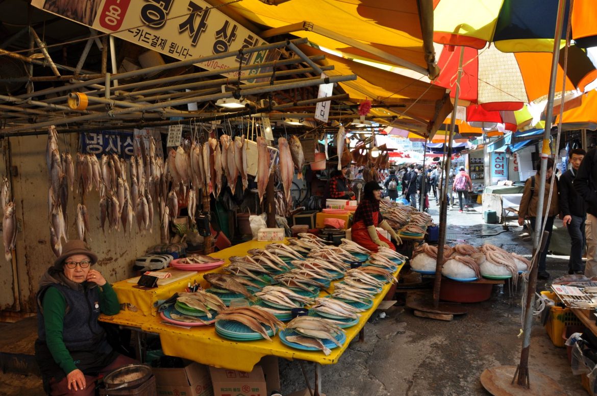 South Korea Dry Eye Market: Best Proven Treatments Available