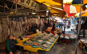 South Korea dry eye market